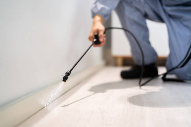 Licensed Fumigation Services service in Garza County County, TX - Nex Pest Control